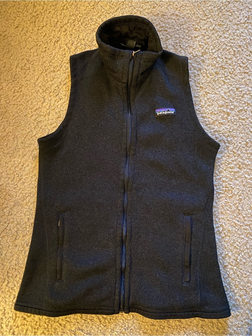 Patagonia Black Fleece Vest - Women's